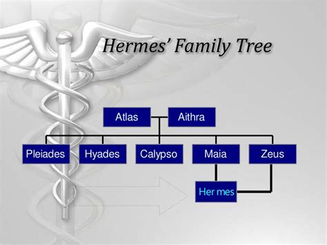 hermes family information|what is Hermes family tree.